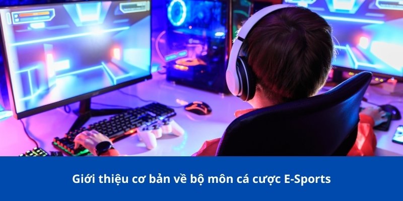 Giới thiệu cơ bản về bộ môn cá cược E-Sports