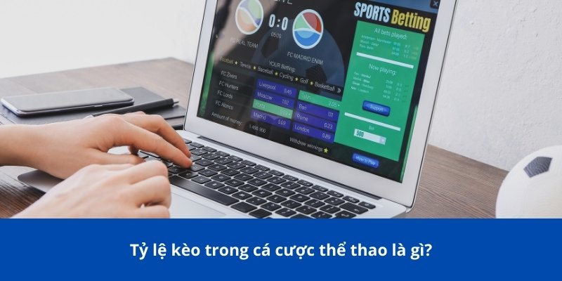 Tỷ lệ kèo trong dạng cá cược thể thao Hell88